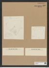 Triceratium striolatum Ehr. (de-Toni-Nr.: Genus 140, Species 3830) Zeichnungen Sammlung Grunow Nr. 7329 (NHMW-BOT-W0376371)